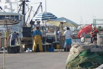 PESCARA, 7.6.2013 - Walter Squeo, Presidente di Federpesca Abruzzo, lancia un nuovo allarme a difesa dei pescatori: Secondo lo stato sono lavoratori di seconda categoria.